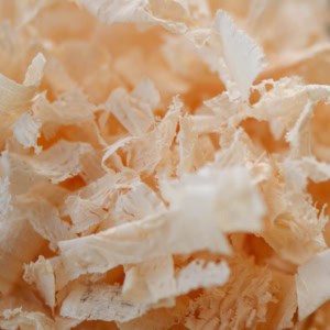 Arvenflocken_G71_9832 | Arve.ch Arvenholzspäne