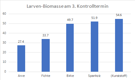 Larven-Biomasse am 3. Kontrolltermin