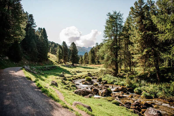 Arvenbäume im Bündnerland | Arve.ch Duftkugel Arvenholz - Duft wie in unseren Arvenwäldern