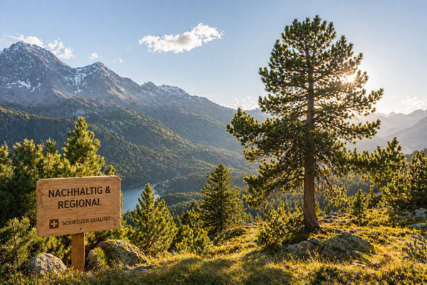 Ihr Arvenduvet - hergestellt in der Schweiz | Arve.ch Ihr Arvenduvet - hergestellt in der Schweiz